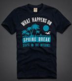 Hollister 2013 Man Polo T-Shirt 3647
