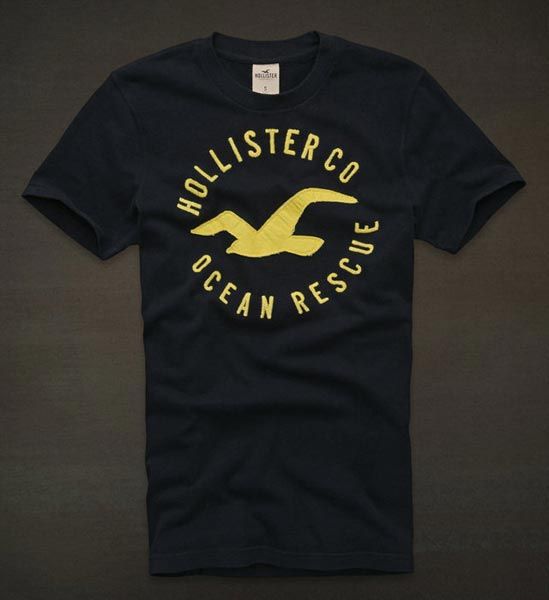 Hollister 2013 Man T-shirt 2002