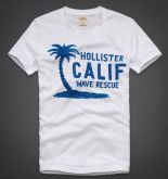 Hollister 2013 Man T-shirt 64387