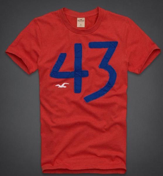 Hollister 2013 Man T-shirt 3642