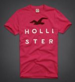 Hollister 2013 Man T-shirt 59276-3