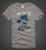 Hollister 2013 Man T-shirt 65424