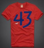 Hollister 2013 Man T-shirt 3642