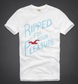 Hollister 2013 Man T-shirt 62805