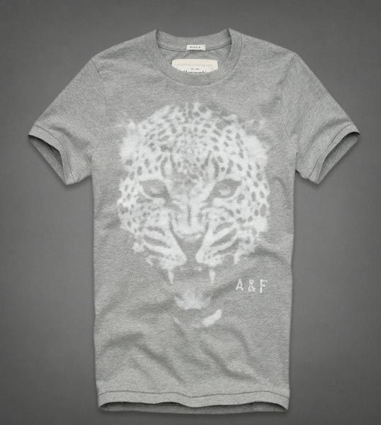 Abercrombie 2013 Man T-Shirt 61244