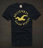 Hollister 2013 Man T-shirt 2002