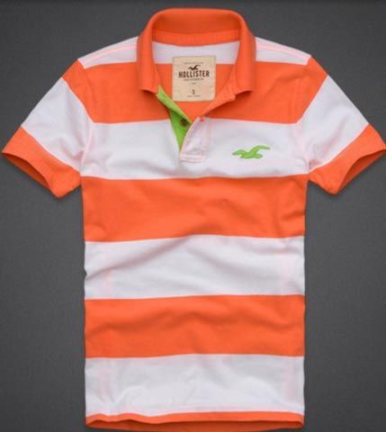 Hollister 2013 Man Polo T-Shirt XP022