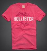Hollister 2013 Man T-shirt 65271