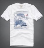 Abercrombie 2013 Man T-Shirt 51346