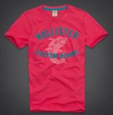 Hollister 2013 Man T-shirt 61813
